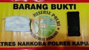 ‘Budak Sabu’ di Desa Batu Nindan Digelandang Tim Polres Kapuas