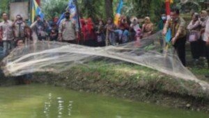 Bupati Merangin Panen Ikan Perdana Milik Pokdadan Sungai Kapas