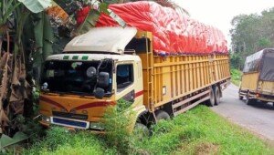 Akibat Rem Blong, Truk Fuso Muatan Masuk Parit di Jalintim Palembang-Banyuasin