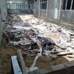 Kondisi di dalam ruangan faskes Dinkes Kapuas yang mangkrak (Angga / Mattanews.co)