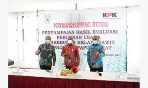 Evaluasi Perizinan Perkebunan Kelapa Sawit Papua Barat