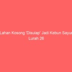 Lahan Kosong ‘Disulap’ Jadi Kebun Sayur, Lurah 26 Ilir Tertarik Ikuti Lomba Kampung Kreatif