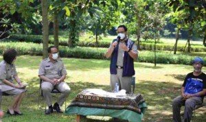 Rayakan Hari Air Sedunia, Gubernur Anies Bersama Warga Tanam Pohon Lua di TMB Gintung Jaksel