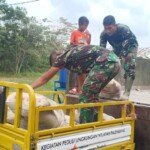 Sulitnya Akses Masuk, Pengangkutan Material Dialihkan Menggunakan Kendaraan Lebih Kecil