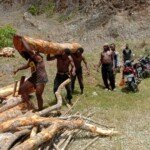 Demi Menggelar Pelantikan Ketua Umum, IPPMD Rela Kerja Keras Keluar Masuk Hutan