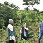 Kopi Arabica Semende Binaan PTBA Tak Kalah Kelas