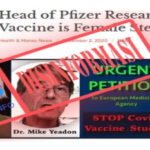 Hoax !! Kepala Peneliti Pfizer Sebut Vaksin Covid-19 untuk Sterilisasi Wanita
