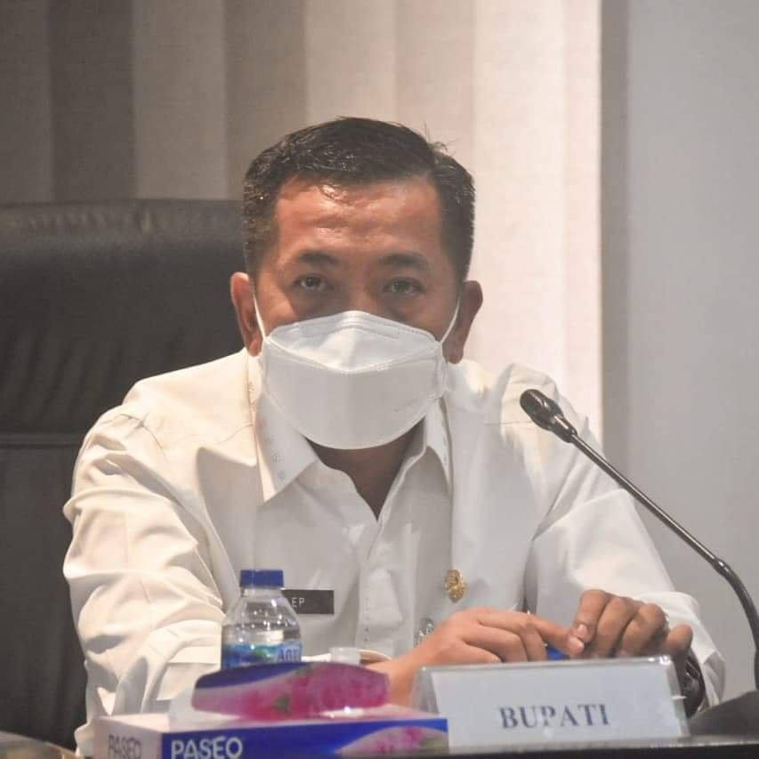 Wakil Bupati Karawang, H. Aep Syaepuloh SE.,