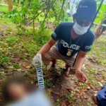 Seorang Pemuda di Mamuju Tewas Tergantung di Pohon Jeruk