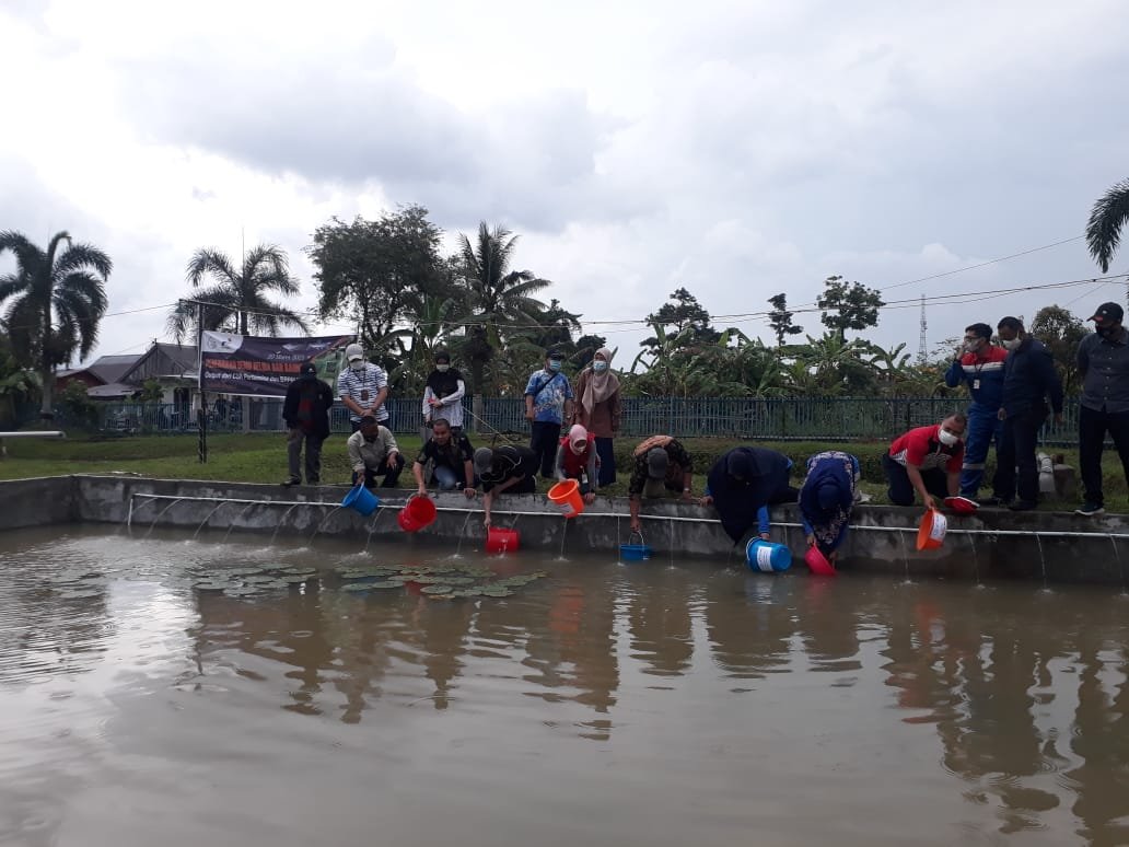 Pertamina RU IIII dan Balai Riset Perikanan UmumTebar benih ikan belida