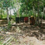 Kampung Alur Tani II Jadi Surga Illegal Drilling