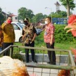 Butuh Rp40 Miliar untuk Bangun Pasar Hewan Dimoro Kota Blitar