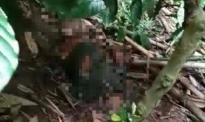 Penemuan Mayat Perempuan Gegerkan Warga Sukaharja Rajadesa
