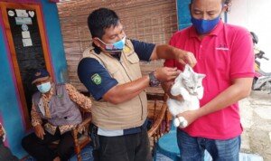 Wujudkan Prabumulih Bebas Rabies, Dinas Pertanian Lakukan Penyuntikan Hewan Peliharaan