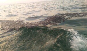 Akibat Kebocoran Pipa Minyak Pertamina, SNNU Desak GM PHE ONWJ Segera Dicopot Dari Jabatannya