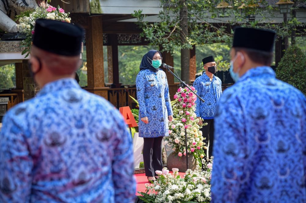 Bupati Purwakarta, Anne Ratna Mustika