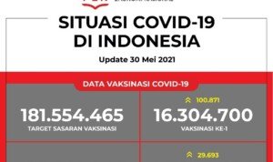 Update Data Vaksinasi Covid-19 Per 30 Mei 2021