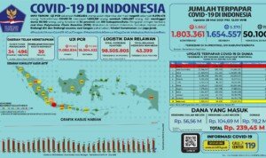 Update 28 Mei 2021 Korban Covid-19 di Indonesia: 1.803.361 Positif, 1.654.557 Sembuh, 50.100 Meninggal