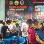 Tulungagung Festival Koi Show 2021, Mulai Bangkit di Tengah Pandemi