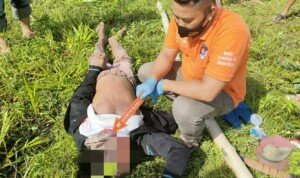 Diduga Terkena Ranjau Perangkap Babi, Warga Ogan Ilir Tewas Tersengat Aliran Listrik