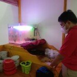 Semangat Pelaku UMKM Bangkit Ditengah Masa Pandemi