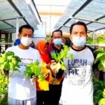 Halaman Rumah Tak Luas, Ridho Yahya Ajak Masyarakat Cocok Tanam Ala Hidroponik