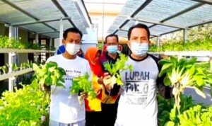 Halaman Rumah Tak Luas, Ridho Yahya Ajak Masyarakat Cocok Tanam Ala Hidroponik