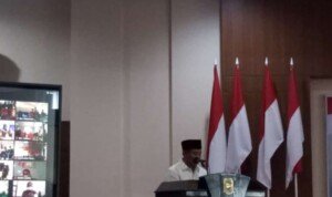 IDM di Ciamis Meningkat Desa Mandiri Bertambah, Ini Kata Wagub Jabar