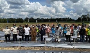 Bupati OKU Timur Targetkan Petani Sukses