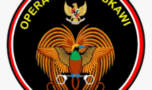 Satgas Nemangkawi Gabungan TNI-Polri Tembak Komandan Teroris KKB Lesmin Waker