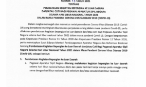 Menteri PANRB Keluarkan SE Larangan Keluar Kota dan Cuti Bagi ASN