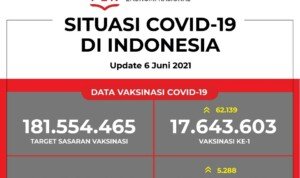 Update Data Vaksinasi Covid-19 Per 6 Juni 2021