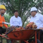 BPDP-KS Abadikan Keberhasilan Joko Widodo-Dodi Reza
