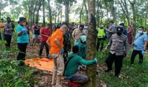 Penemuan Mayat di Kebun Karet, Gegerkan Warga Cikumpay