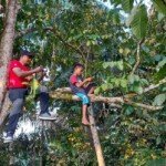 Demi Menimba Ilmu, Siswa Berjuang Panjat Pohon Cari Sinyal Internet
