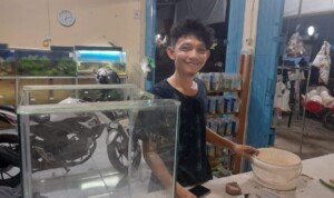 Mengintip Bisnis Aquarium yang Makin Menjanjikan