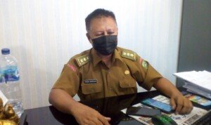 Petani Sumsel Harapkan Bantuan Bibit Porang dari Pusat