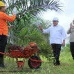 Ramah Lingkungan, Bupati Dodi Bakal Pakaikan Bensin Sawit ke Seluruh Mobdin