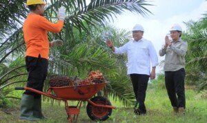 Ramah Lingkungan, Bupati Dodi Bakal Pakaikan Bensin Sawit ke Seluruh Mobdin