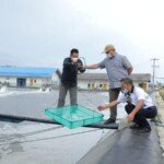 Bertahan Hingga 22 Tahun, Gubernur Erzaldi Kagumi Tambak Udang Vaname Indocom