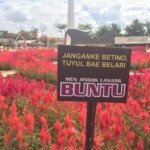 Banyak Tulisan Unik, Jadikan Taman Bunga Celosia Springhill Palembang Cocok bagi Instagramable