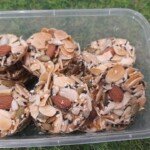 Florentine Cookies Makanan Ringan dan Sehat, Wajib Dicoba