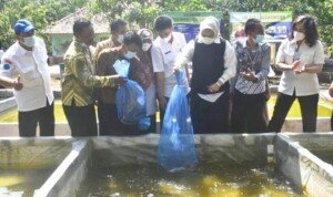 Bupati Karawang Resmikan Kampung Lele Mutiara Desa Sumurgede