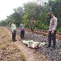 Tim Polres OKU Sumsel mengevakuasi jasad pria tanpa identitas di jalur rel kereta api di OKU Sumsel (Satrio / Mattanews.co)