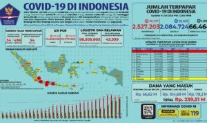 Update 11 Juli 2021 Korban Covid-19 di Indonesia: 2.527.203 Positif, 2.084.724 Sembuh, 66.464 Meninggal