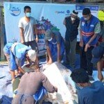 Warga Desa Pulau Kijang Antusias Kurban Sapi DT Peduli Sumsel