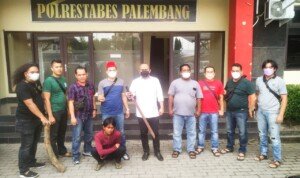 Kibaskan Pedang, Agus Saputra Dibekuk Tim Beguyur Bae Polrestabes Palembang