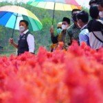 Resmikan Kampoeng Wisata Ya Samman Cindo, Herman Deru Dorong Jadi Wisata Edukasi Pertanian