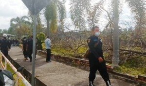 Security PT TEL Pernah Mogok Kerja dan Bertugas Kembali, Begini Penjelasannya