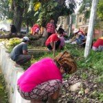 Gotong Royong Tingkat Kelurahan, Warga Konsisten Jalani Program Bobby Nasution